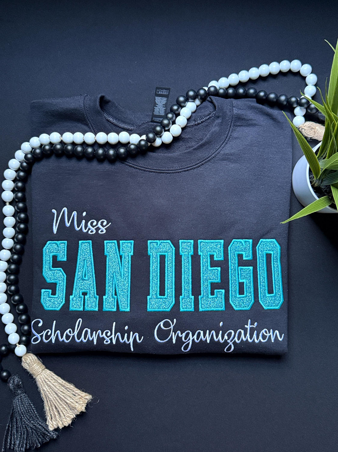 Glitter Embroidered Sweatshirt